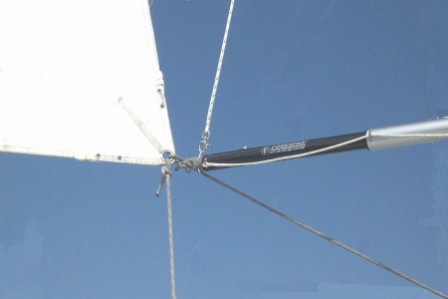 Aluminum-Carbon-line-control-whisker-pole